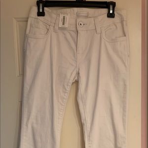 Tall White Promod Pants